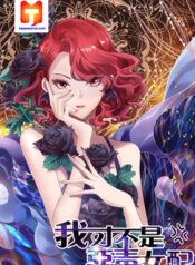I’m Not An Evil Antagonist Actress 1