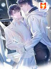 post_535591_image