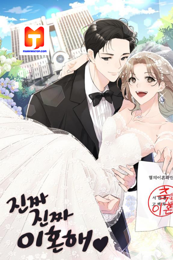 Really Truly Getting a Divorce