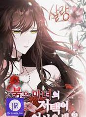 Welcome to the red witches mansion
