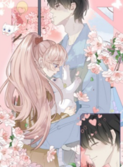 Notes on Cherry Blossom